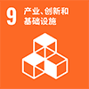 9 产业、创新和基础设施