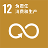 12 负责任消费和生产
